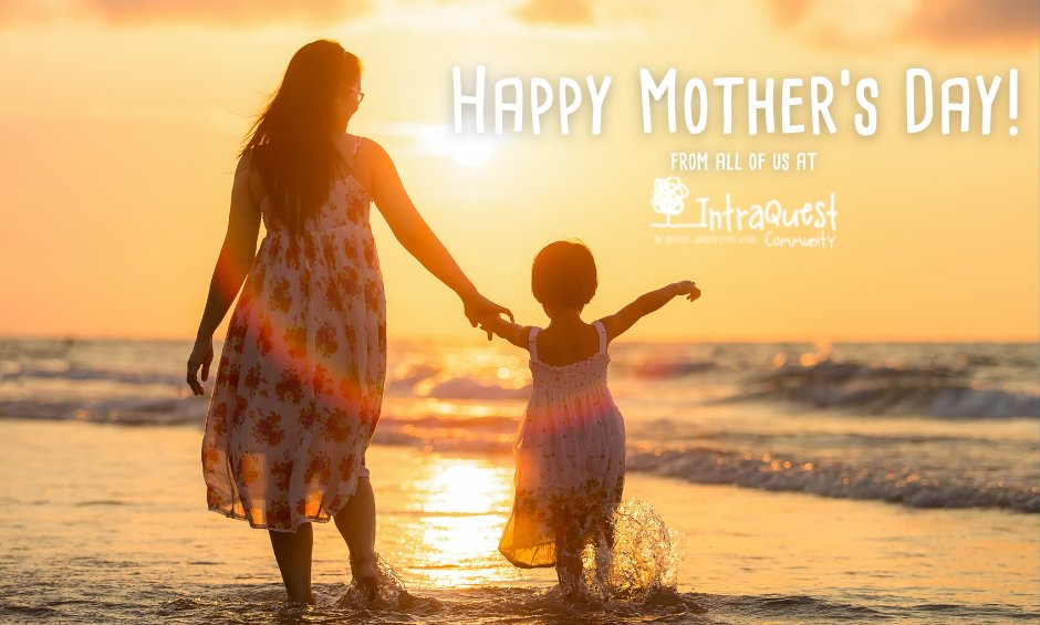 IntraQuest tweet media