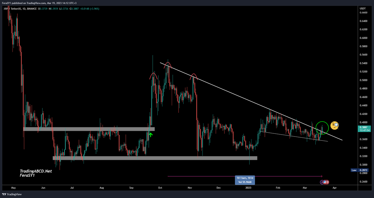 Crypto Feras  tweet media