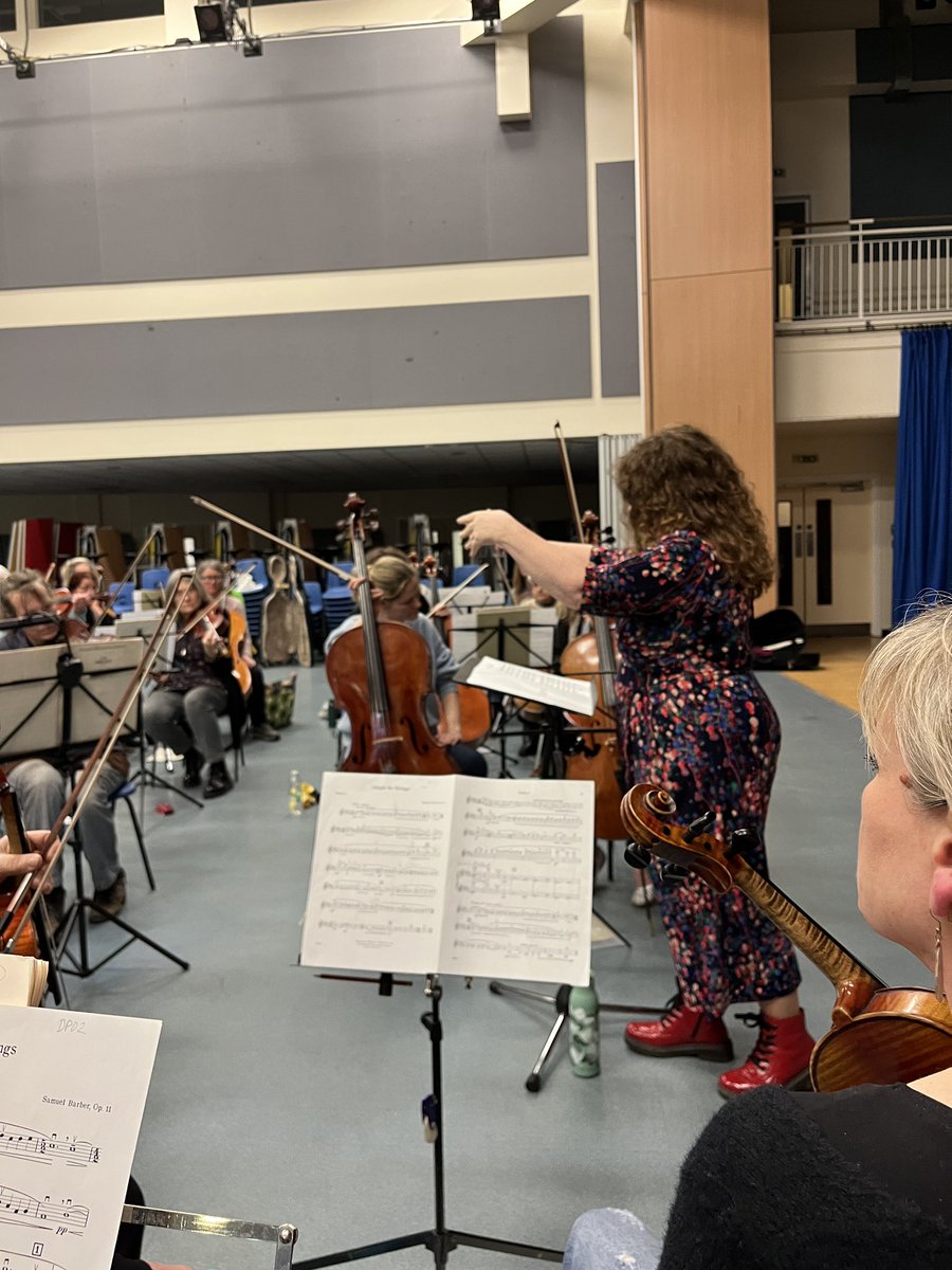 Devon Philharmonic Orchestra tweet media