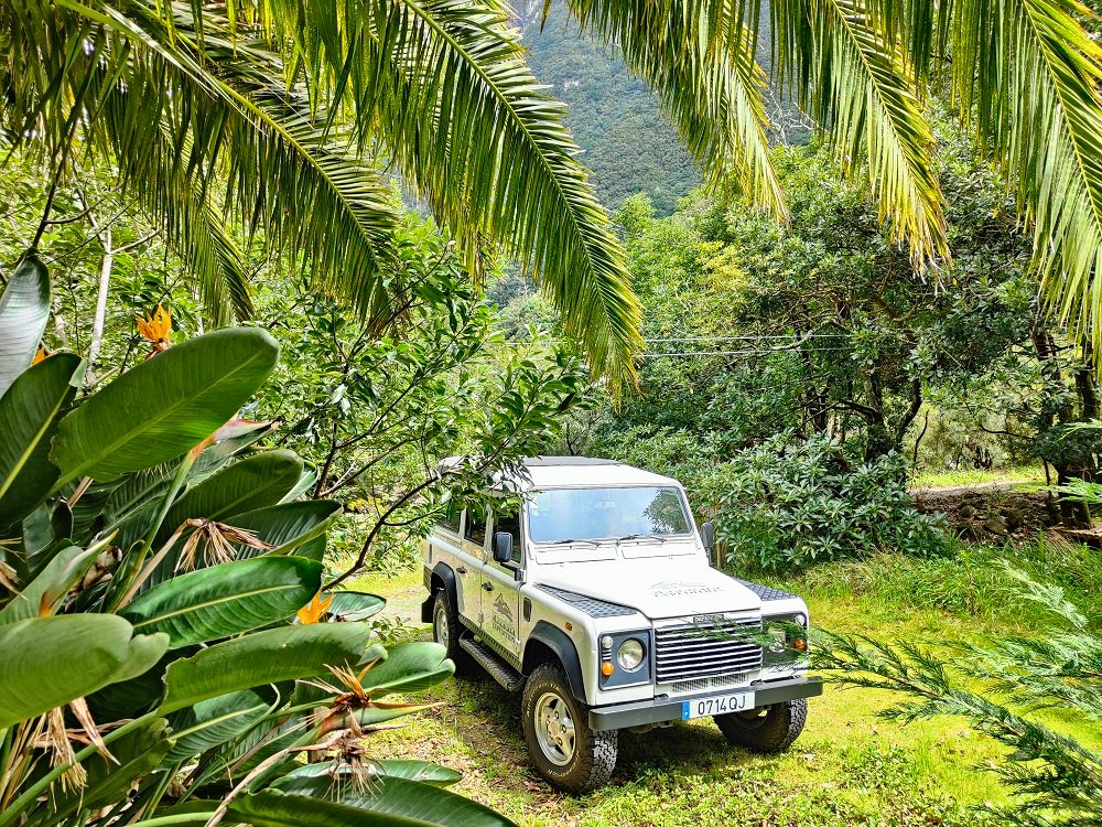 reishonger's tweet photo. Reishonger neemt je mee naar #Madeira, dat wordt beschouwd als beste eilandbestemming ter wereld! 
https://t.co/a4iTlu7icU #reishonger #Portugal #vakantie https://t.co/HAoMg0evtw