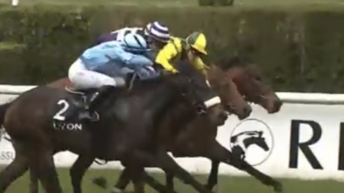 shugiehughie's tweet photo. 2yo Result Lyon-Parilly 4.5 furlongs .. 1st Marie Mancini by Footstepinthesand x Sees ( Le Harve .jockey Maxim Guyon ( middle ) .. 2nd Aquila Volante by Gleneagles, 3rd Loyal Prince by Palace Prince .. 2 French 2yo’s this year so far 2 favourites have won #HapoyDays https://t.co/yReNkzCza9
