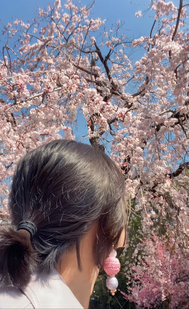 sheg𝓞 ⁷🪞 on Twitter "RT PaniniEveryday “Flowers do bloom even in the falling rain”"