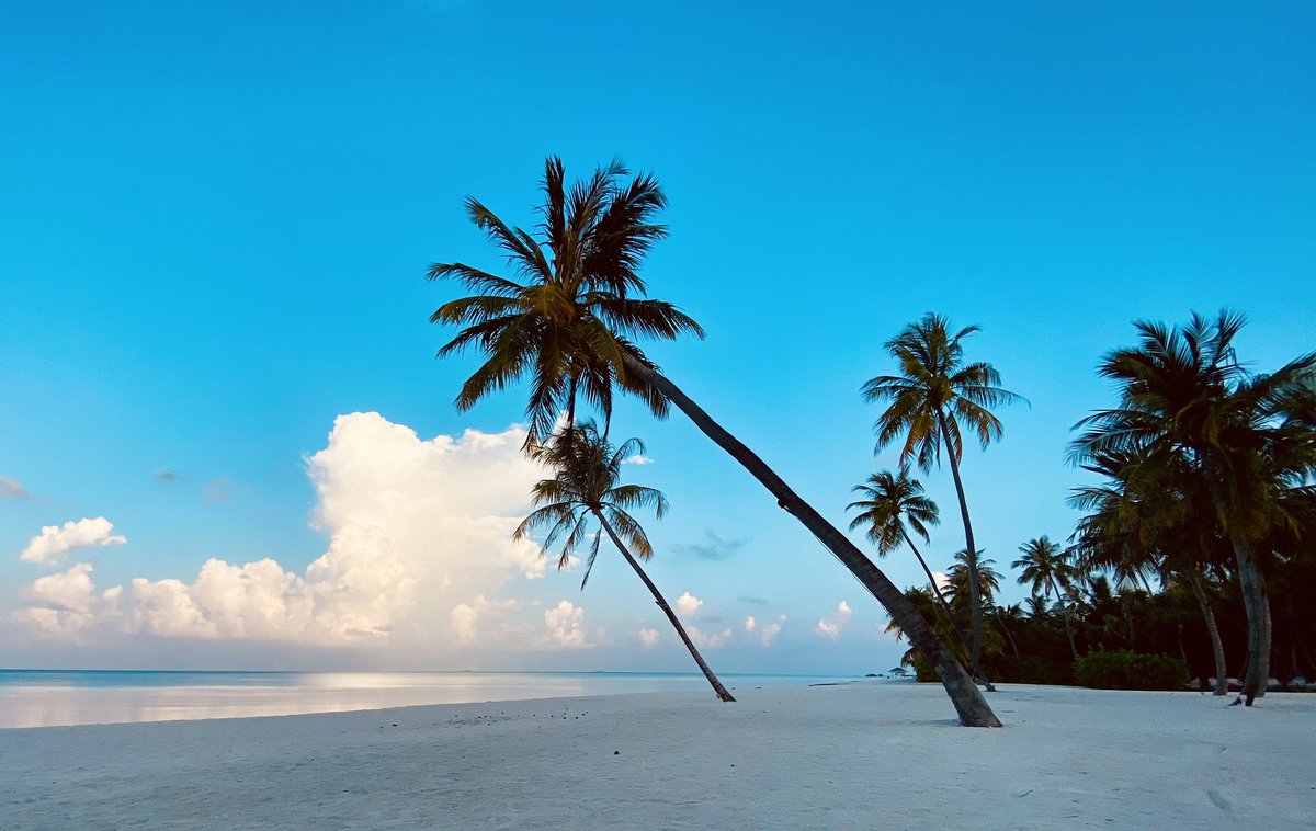 We recently went to the Maldives.
