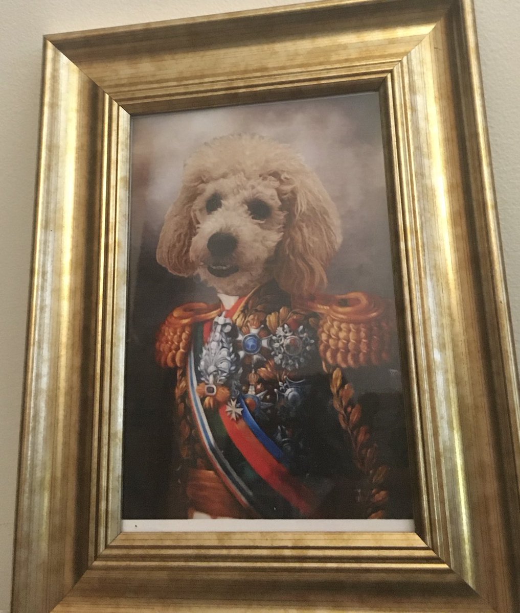 sallythomsett's tweet photo. 🤣Hi darlings Happy Mother’s Day to all of the fabulous mums out there 🤣Here’s the fabulous pressie from my youngest 🤣I blame King Charles 🐩Bernie thinks he’s going to his Coronation 🐩bless his little paws 🐾love him to bits 🐾sending loads of lick’s &amp; kisses 💋Sally💋XxXxX💋 https://t.co/zpk2QG8Alk