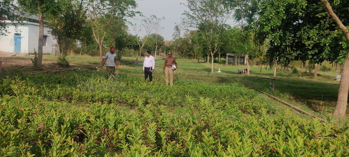 dfolalitpur's tweet photo. Inspection of Ptauwa nursery Gauna range by SDO Mehrauni on 19.03.2023 https://t.co/kN5G4ivdGn