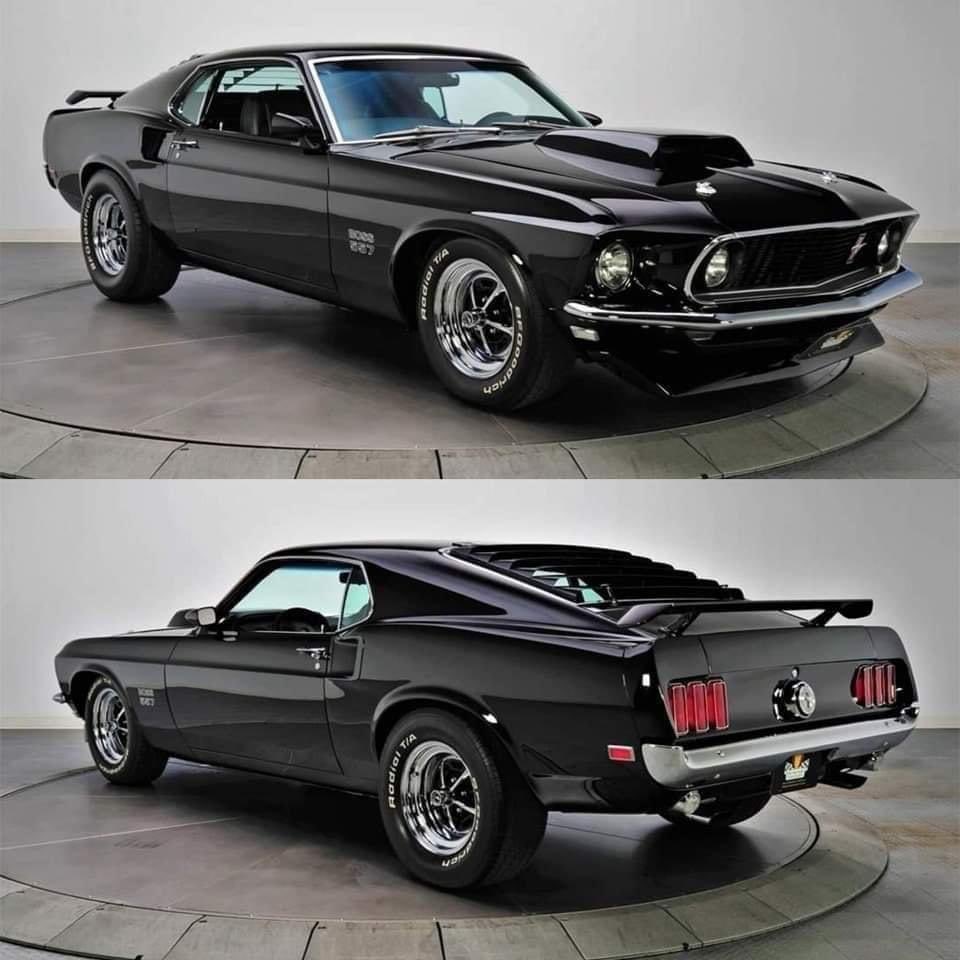 Dino Kasamis tweet media