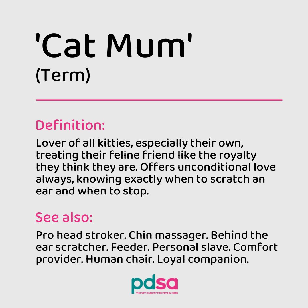 Happy #MothersDay! 🐶😸

#PetsOfTwitter