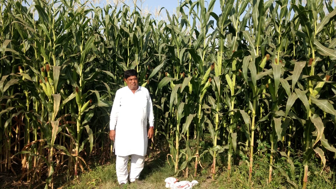 BDJade1's tweet photo. Block your 21st March!
#Farmers friends join us in farmers mela at Lasalgaon n Mission Maize 2.0 - Target Yield 100 Qnt/Acre. Let us understand many more about Hi Tech Maize Cultivation. 
@AbhijitMDeore1
@PotliNews
@VIVEKRANDIVE
@AGROWON
@GlobalParli
@JainIrrigation
@AjitJisl https://t.co/gSnlPVw5AV