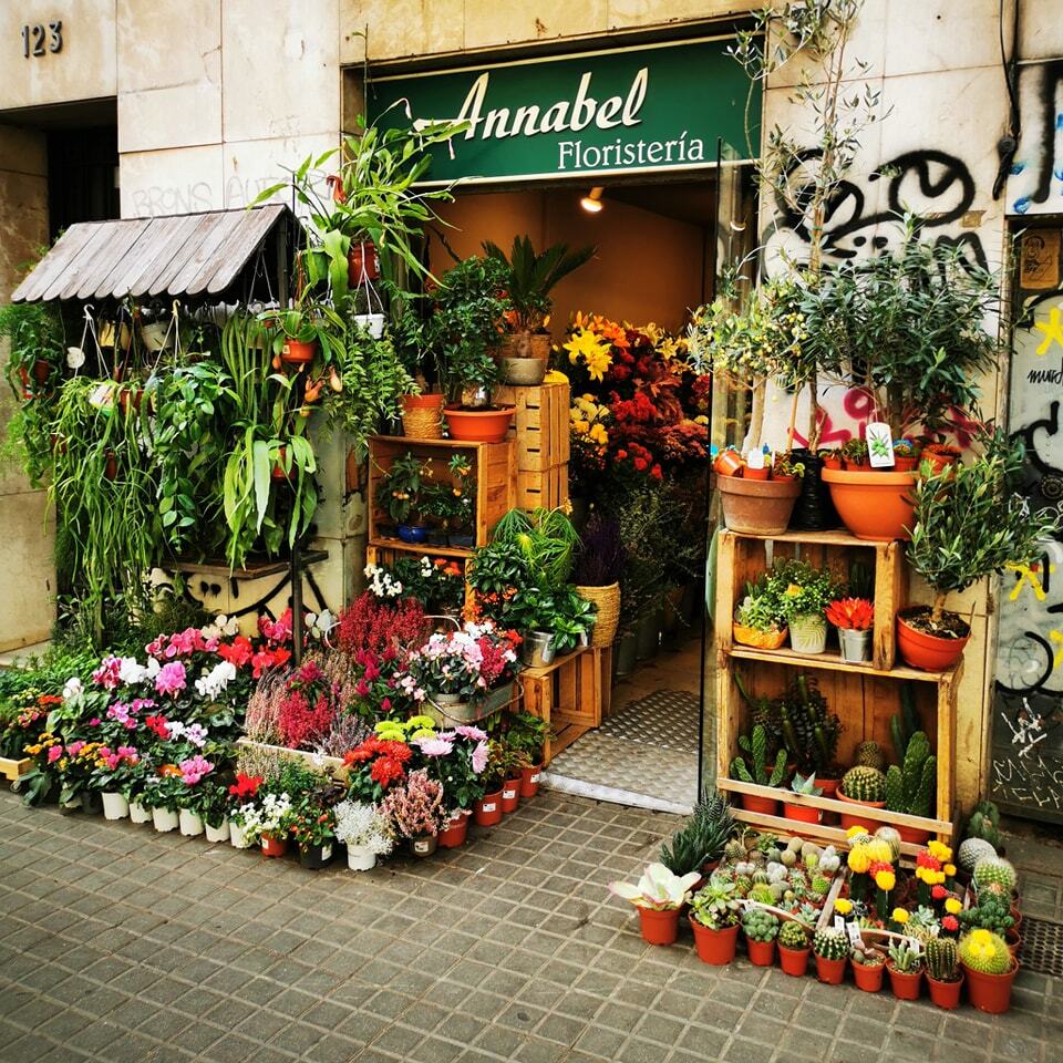 whyvisitbcn's tweet image. I love this cute florist I spotted in Gràcia 💚🧡💛💜💙❤️

#whyvisitbarcelona #barcelonaexperience #barcelonamola #barcelonalove #barcelonalover #barcelonaspain #barcelonaenamora #barcelonatrip #barcelonatestimo #barcelonacultura #barcelonagramers  #b… instagr.am/p/Cp-B40sJ4NJ/
