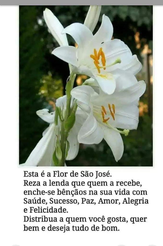 Dia de São José. 
#diadeSaoJose
#SAOJOSE 
#Twitter