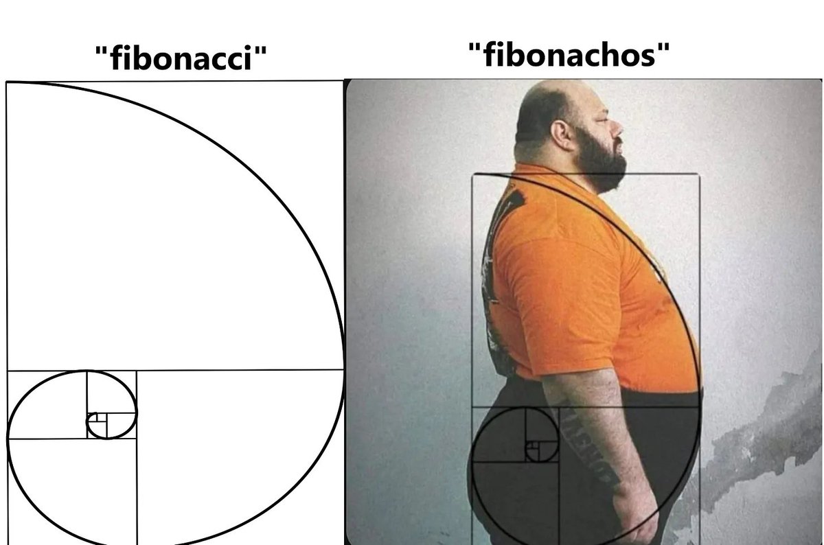 boriquagato's tweet photo. some shapes crop up again and again in nature...

#ItsMath https://t.co/QcvFz7JUvQ