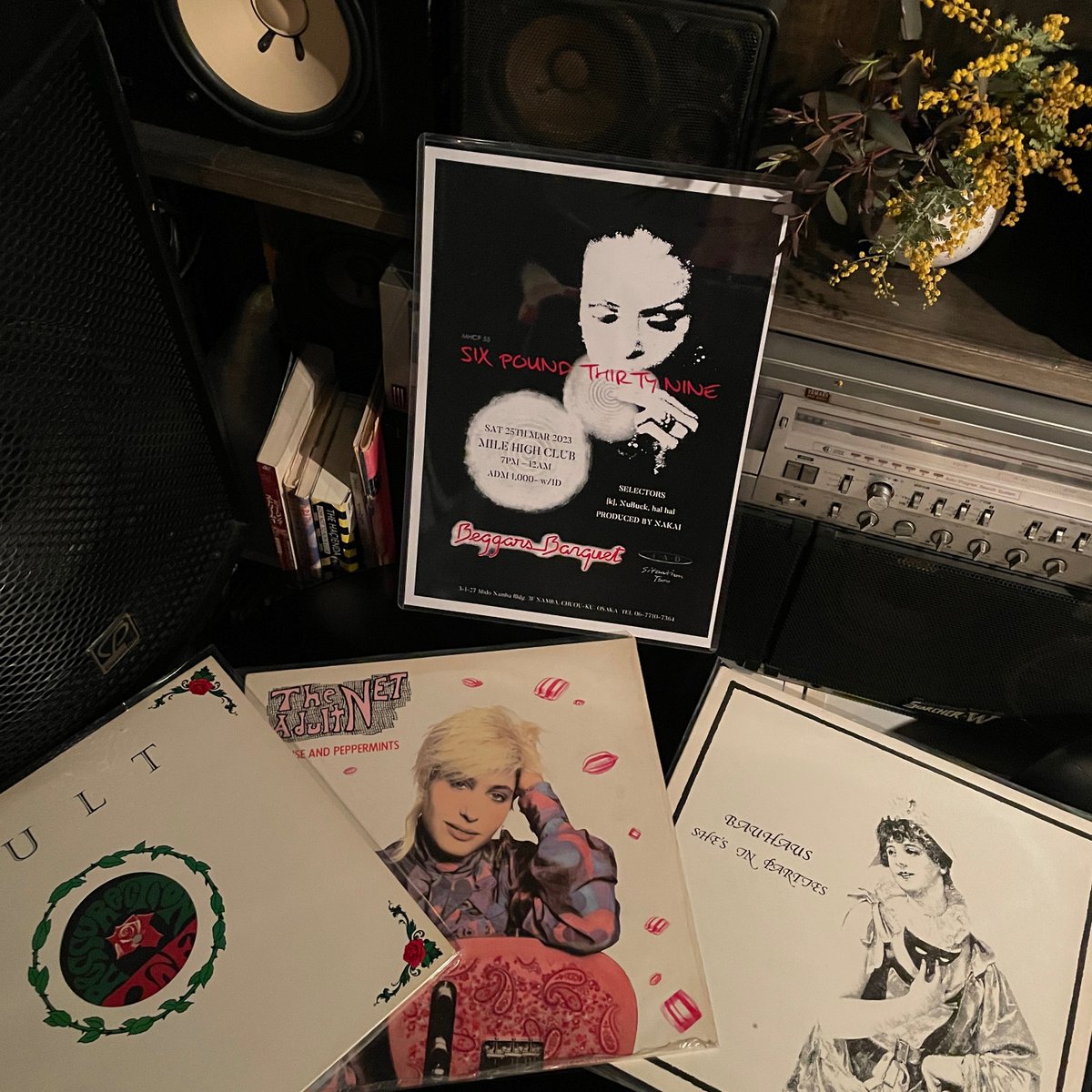 MILEHIGHCLUB202's tweet photo. γΉγ¬γΌγΊγ»γγ³γ±γγηΉιγ§γ
#BeggarsBanquet #theCult #bauhaus #theAdultNet #NewWave #PostPunk #indies #electric #synthPop #SituationTwo #4ad #vinylbar #musicbar #γ¬γ³γΌγγγΌ #MHCP55 #mhc19032023 https://t.co/hcakJVkfuM