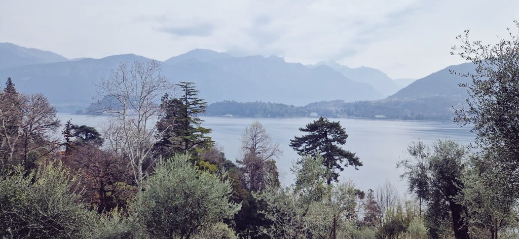 Natalia Meani tweet media