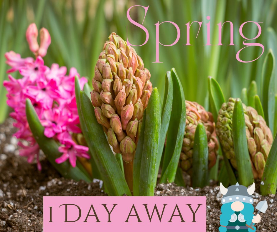 Spring is 1 day away! That's right folks, Spring is ... TOMORROW!!!🤩 

Happy Last day of Winter! 

🌳🦔🐿🌿🍄🪺💐🌹🌞🐛🦋🐝🌷🌼🌱🐦

#Spring2023 #SpringCountdown #SpringIsComing  #littlevikinglandscaping #NovaScotia #March2023  #springisnear #springisintheair #lastdayofwinter