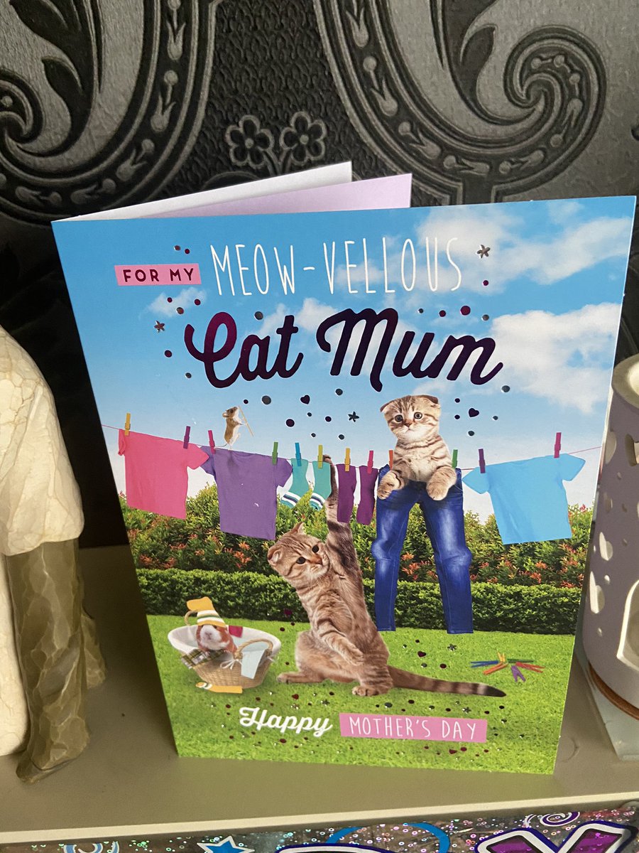 Happy Mothers Day to all the Cat Mom’s out there 🐱🐱