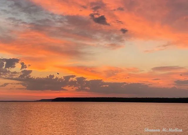 ManitoulinIsle's tweet image. This has been a spectacular week of sunrises. So worth getting up to inhale a dawn that informs the magic of your day here on Manitoulin Island! #sunrises #manitoulinmagic #SundayMorning buff.ly/3YVCbMh