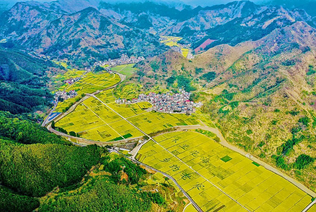 coolkdai's tweet photo. #DakaChina Rapeseed flowers in #Quzhou Zhejiang are picturesque.#Wowspots https://t.co/KDcgIShUwO