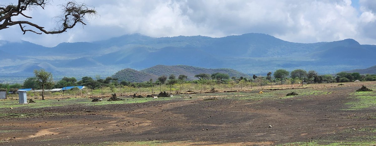 Dr Nyumba Tobias, PhD(Cantab), MSCF (York) tweet media
