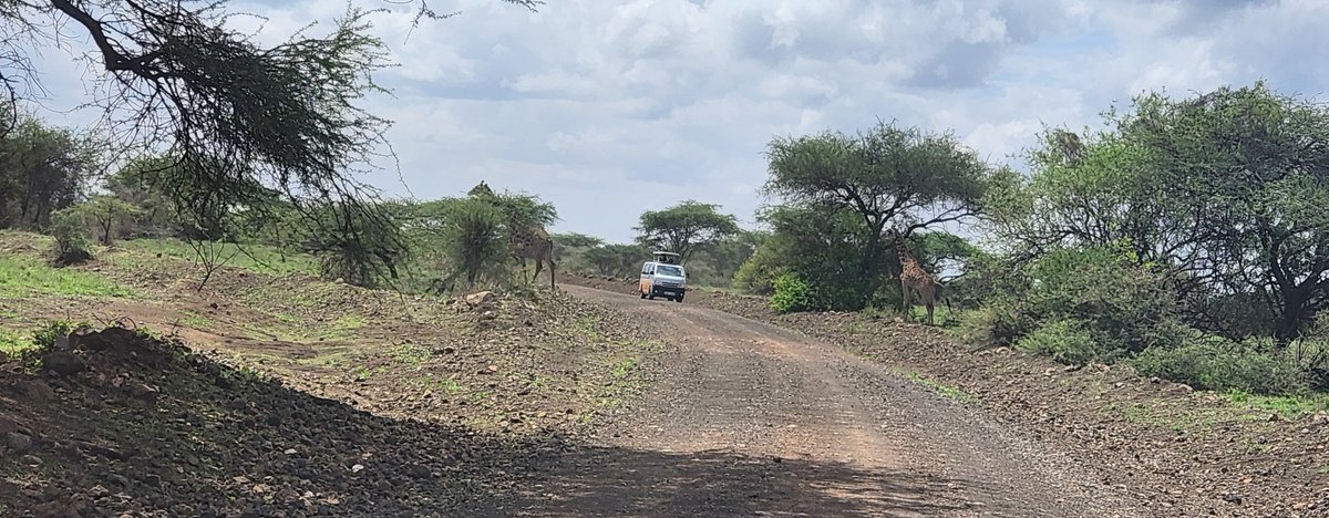 Dr Nyumba Tobias, PhD(Cantab), MSCF (York) tweet media