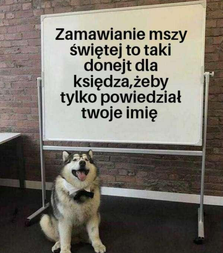 donald_PL_ tweet picture