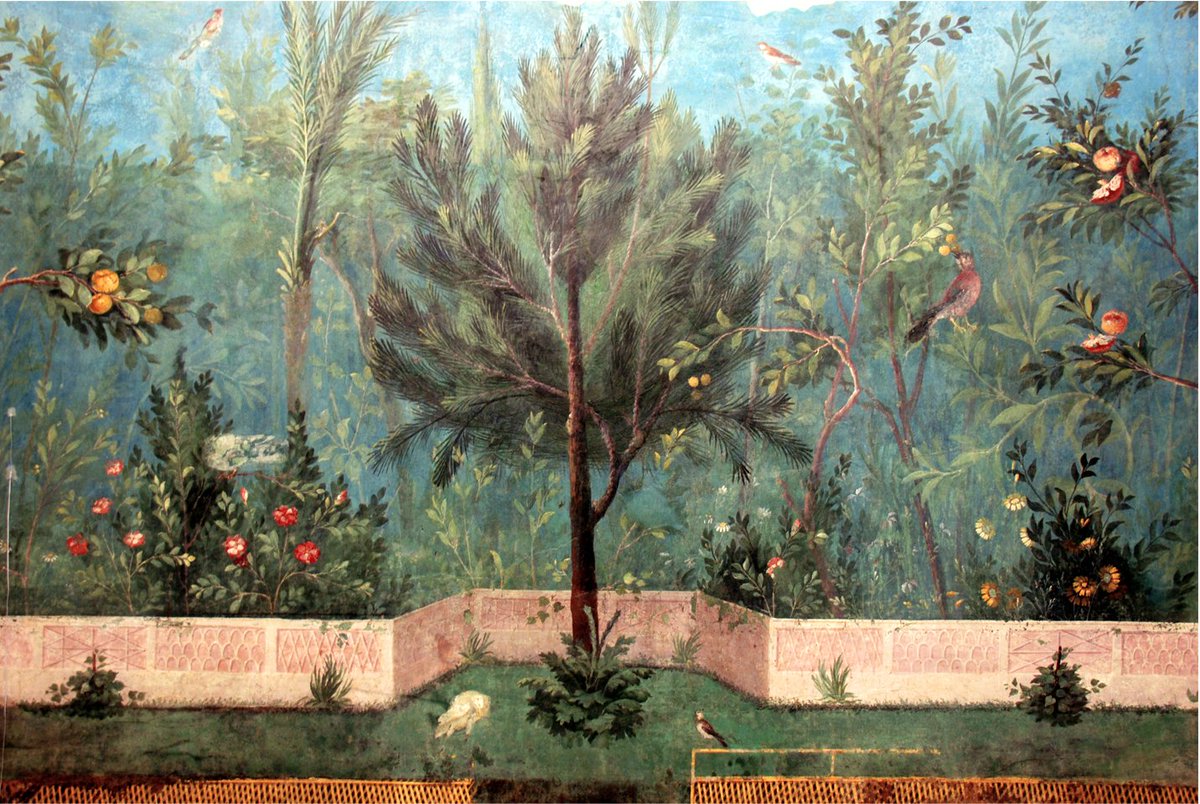 #BCarte

Non tralasciare il portico colorato di antichi dipinti,
che ha il nome di Livia
[...]
Anche i Fori (chi lo crederebbe?)
sono propizi all'amore,
spesso nel rumore del Foro è nata una fiamma.

Ovidio
<a href="/SalernoEditrice/">Salerno Editrice</a>

(Affreschi Villa di Livia, 40-20 a.C. <a href="/MNR_museo/">Museo Nazionale Romano</a>)