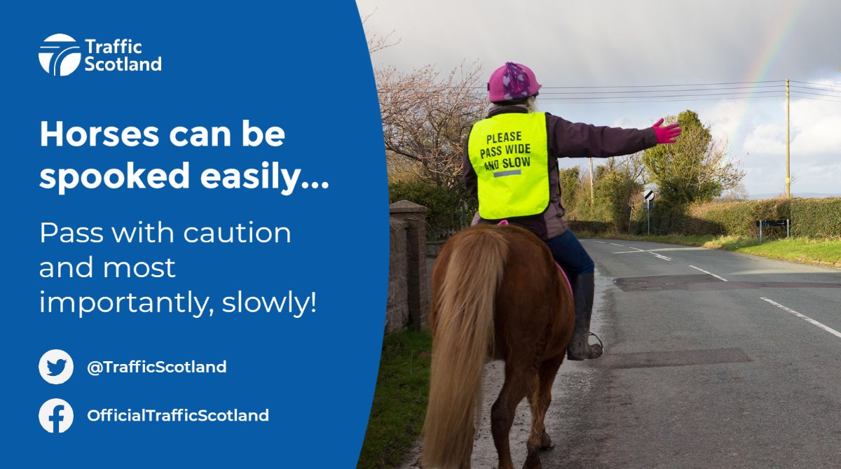 Traffic Scotland (@trafficscotland) on Twitter photo There are 3.5 million regular riders and nearly a million horses in the UK according to the British Horse Society.
If you happen upon a rider on your travels:
Slow right down and be ready to stop.
#HorseAwareness #DriveSafe <a href="/BritishHorse/">The British Horse Society</a> There are 3.5 million regular riders and nearly a million horses in the UK according to the British Horse Society.
If you happen upon a rider on your travels:
Slow right down and be ready to stop.
#HorseAwareness #DriveSafe <a href="/BritishHorse/">The British Horse Society</a>