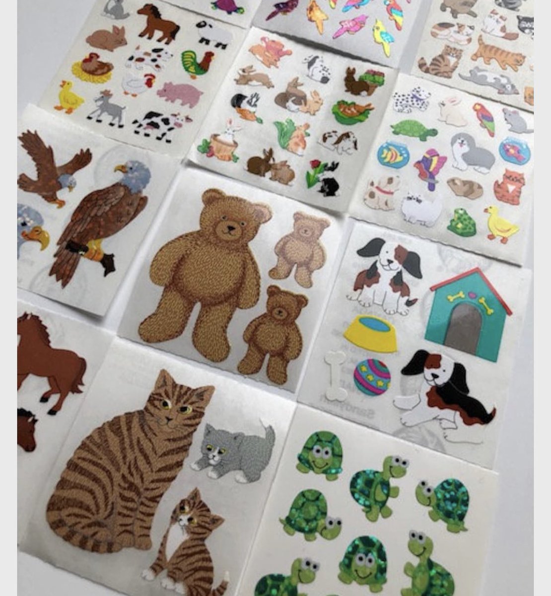 Anna Kealey tweet media