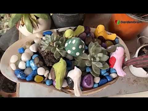 AllForGardening's tweet image. Gardening Trends #2023 | Gardengram ...
 
#Added #AprilUpdate #Callmehhaley #CallmehhaleyAge #CONFIRMED
 
allforgardening.com/421793/gardeni…