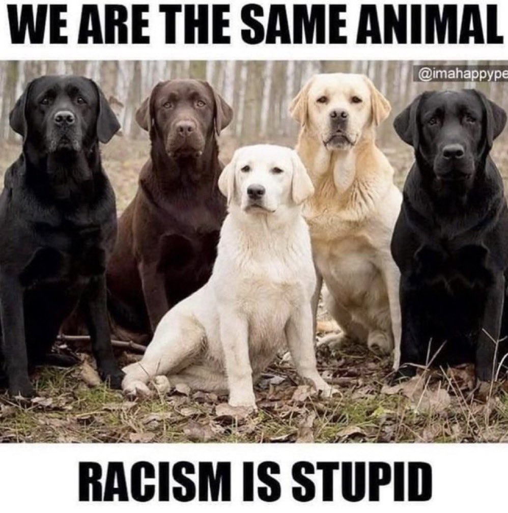 Cheryl4moco's tweet image. Yep..according to the insecure woke, you, me, everyone and everything is racists. I had a woman call my dog racists once!🤷‍♀️