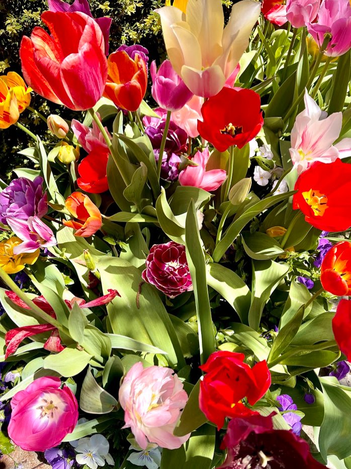 P. Allen Smith tweet media