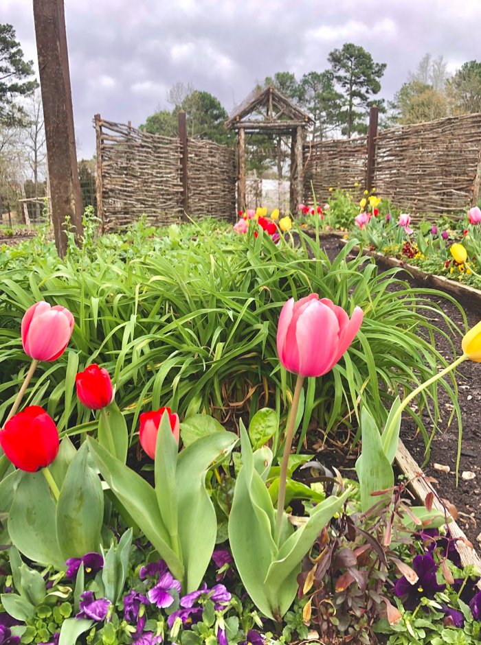 P. Allen Smith tweet media