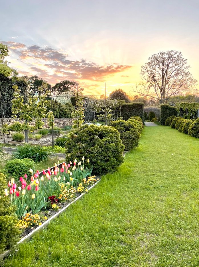 P. Allen Smith tweet media