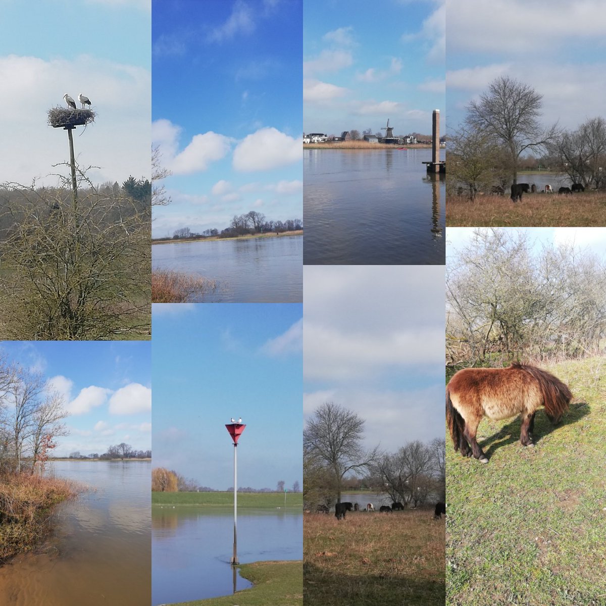 Ingrid_Bosch tweet media