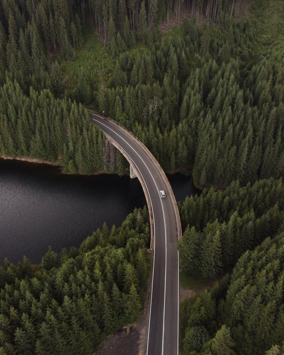 OsvathMihai's tweet photo. Transylvanian rides🚗
#transylvania #Romania #dji #roadtrip #forestdrive https://t.co/07DDWXi1sZ