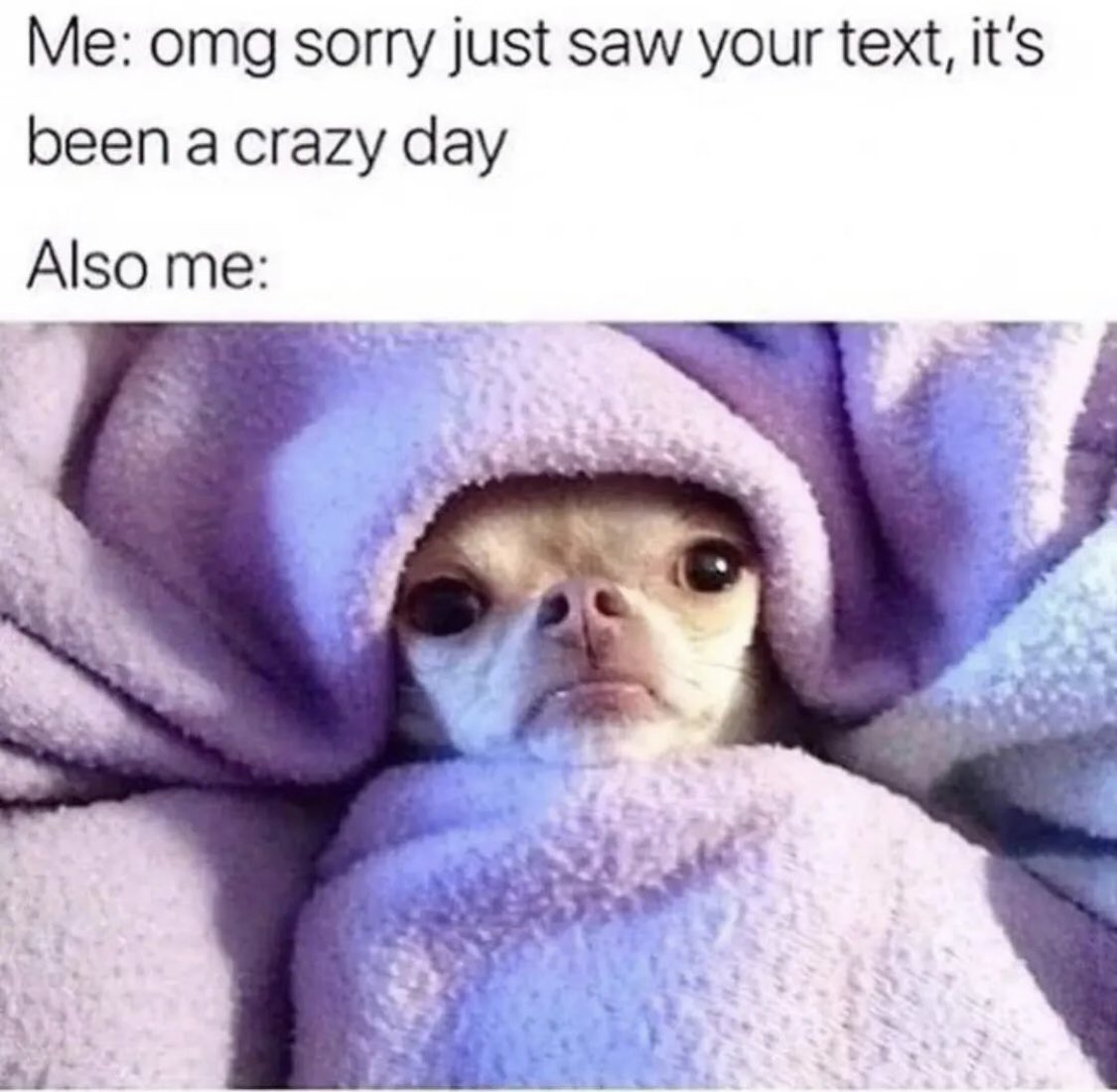 introvertsmemes's tweet photo. Sorrrrrrrrry https://t.co/T8ETwMiAc7