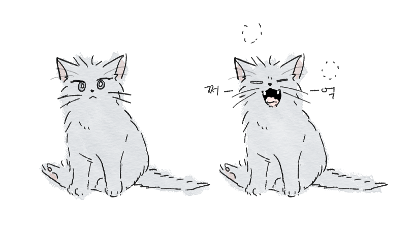 🐾 