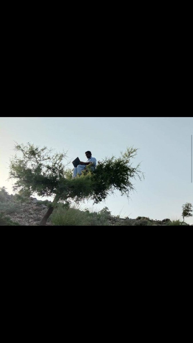 SirajSaeed03's tweet image. A student sitting on a tree while taking online classes...
#SayNotoOnlineClasses