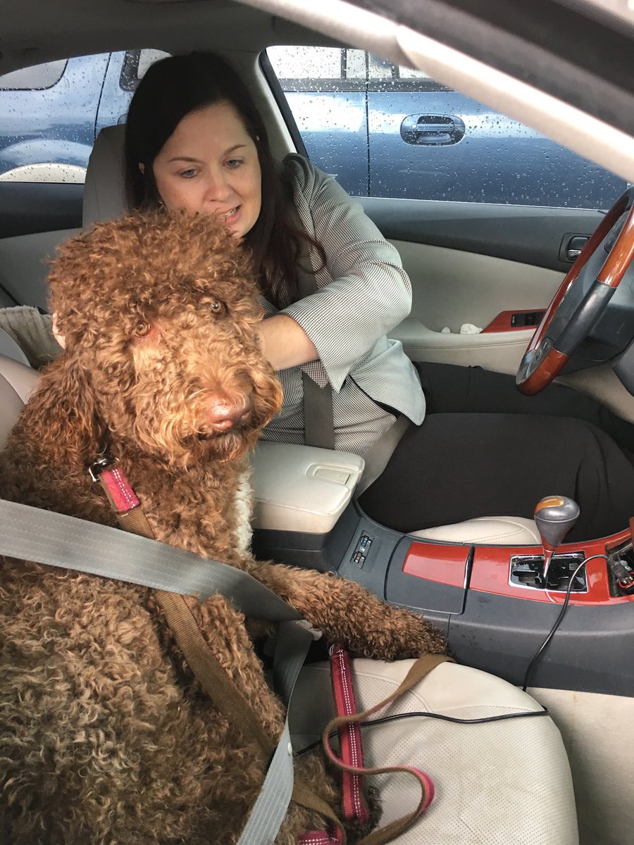 Trish Kahler tweet media