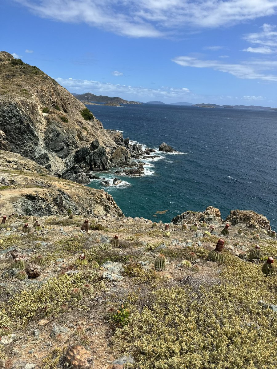 StaceyPlaskett's tweet photo. Hiking to Ram Head on St. John, USVI. A sacred space for us Virgin Islanders #VINice #MyHomeYourVacationspot https://t.co/wT4iH33T7R