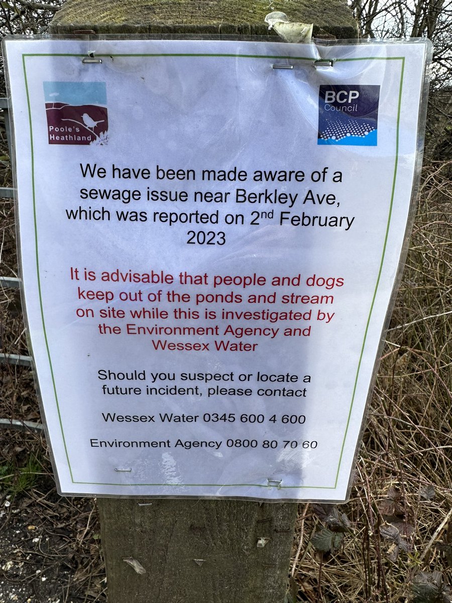 HammondForge's tweet photo. @wessexwater https://t.co/sqtHBtrmog