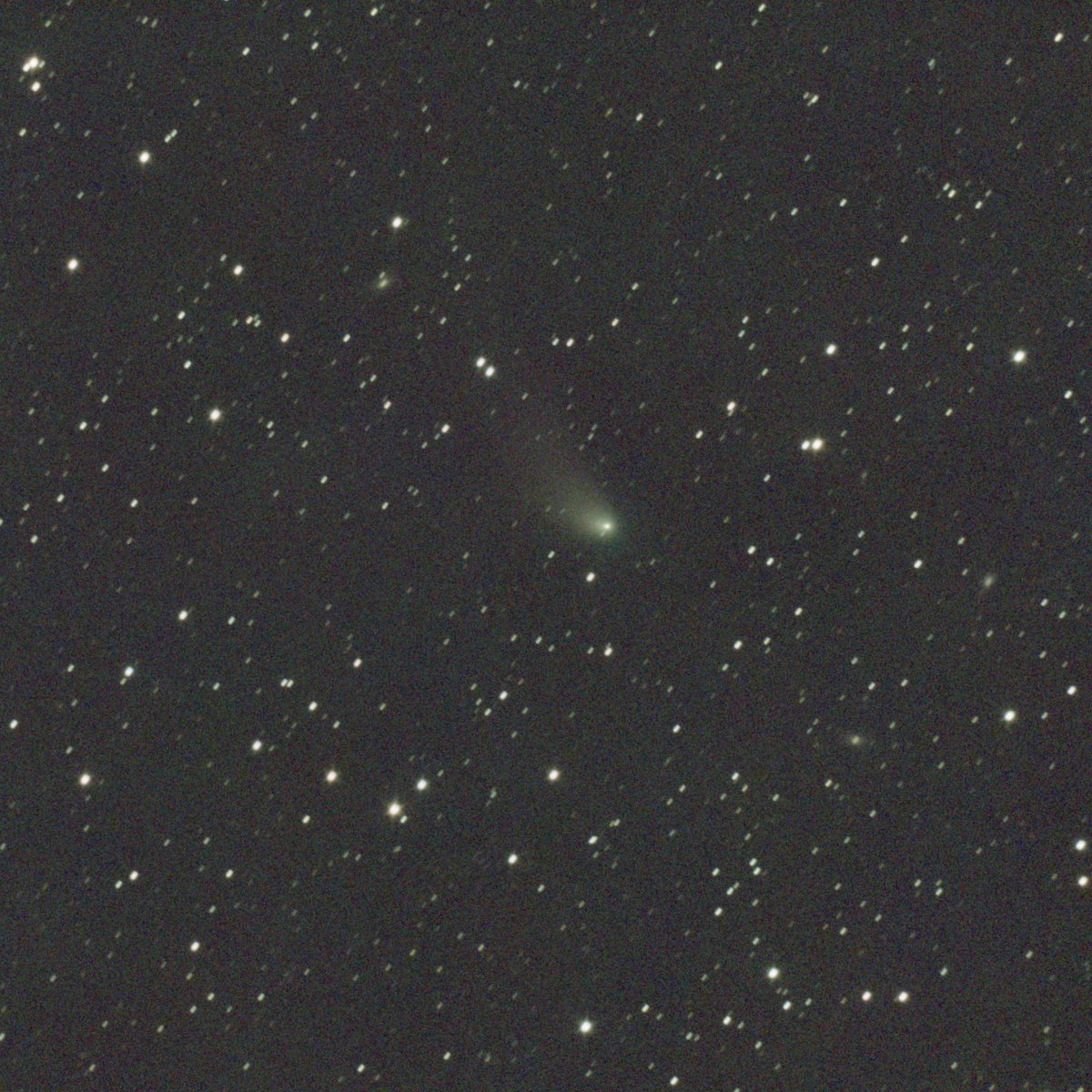 C/2022 E3　ZTF彗星　2023.03.19　19h31m(JST)～  60secx25　MT-130（4.8）＆SV605CC　DSSで彗星核で合成　GraXpertでBG補正　Photoshopでトーン調整　トリミング　彗星の高度が下がったのと横を走る車のライトの影響が大きい　 #2022E3　#cometZTF　
#SV605CC