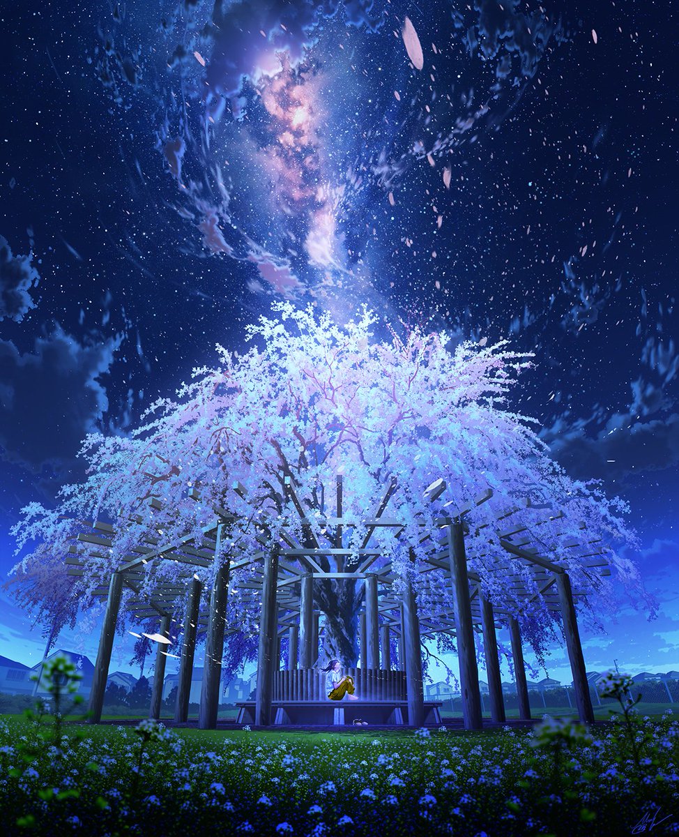 scenery sky outdoors night tree flower star (sky)  illustration images