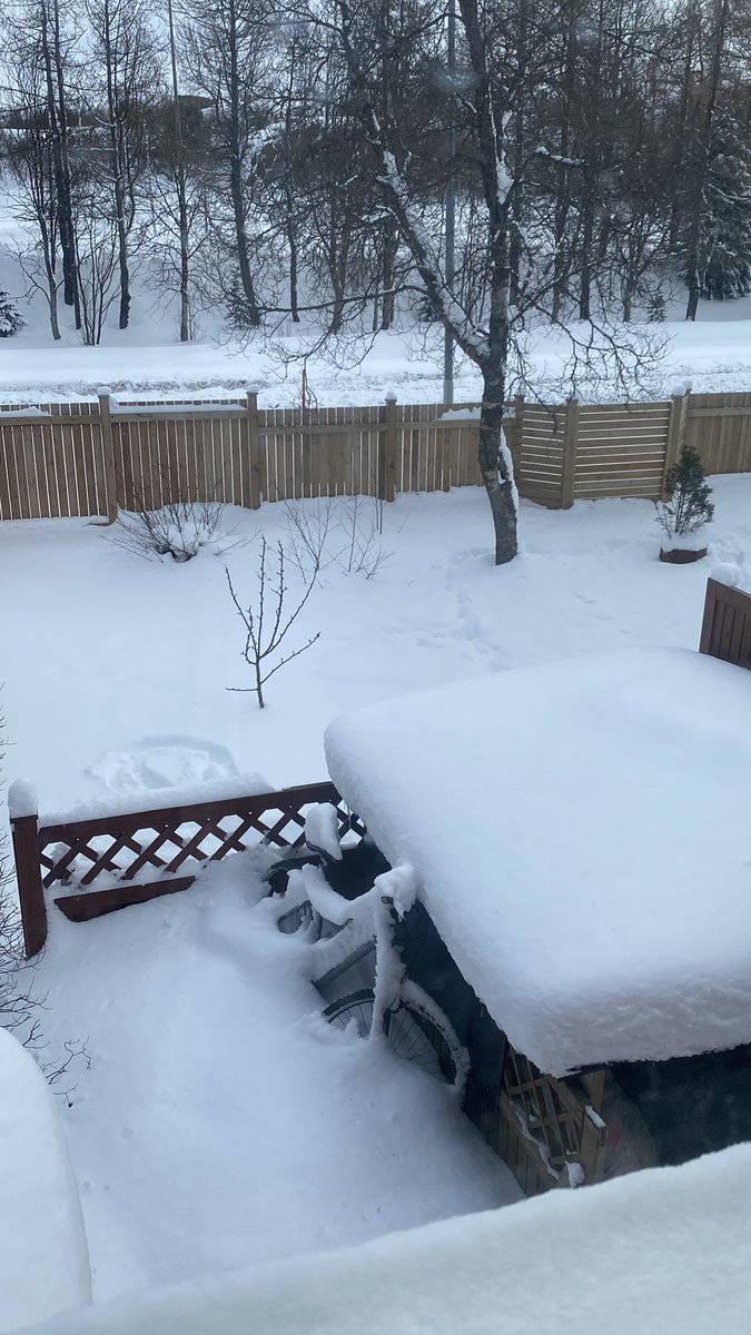 emmaingvars's tweet photo. Afsakið austurland en það var ENGINN snjór á þakinu í gær https://t.co/nSXiSIAJWW