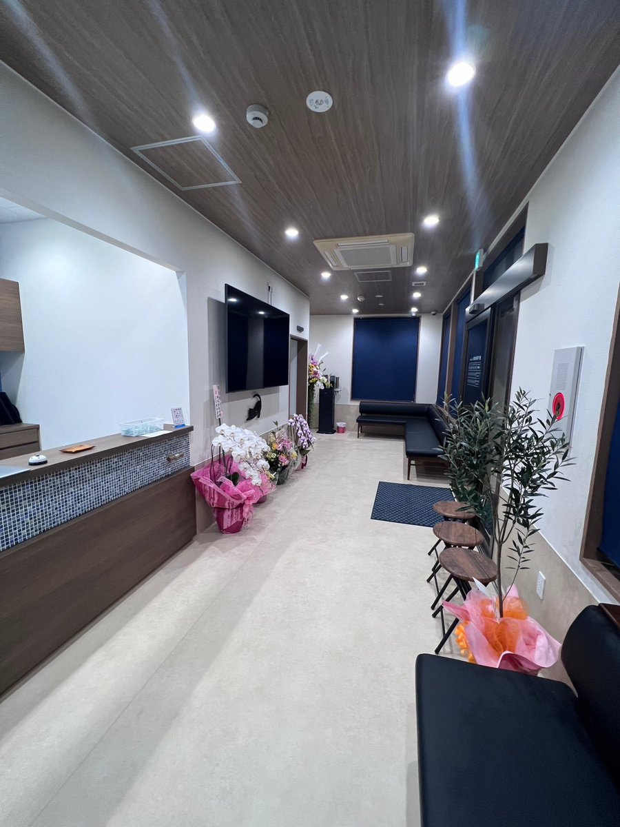 KennyMickey's tweet photo. 明日3月20日(月)
沖縄県北谷町(アメビレの近く)に
弊社VNNが出資•経営する
【中部動物病院 Chubu Vet】がオープンします✨🎉

「スピード感•快適性•DX化」に拘り、短期間で立ち上げ、ほとんど紙を使わないシステムを独自開発で導入しました。

メンバーに感謝😊
北谷町に来たら遊びに来て下さい‼︎ https://t.co/QoF8Y4xdWz