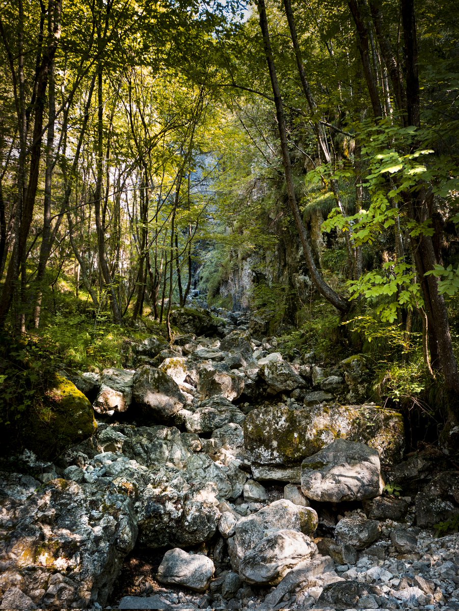 Cryptogod's World 2.0 on ETHEREUM tweet media