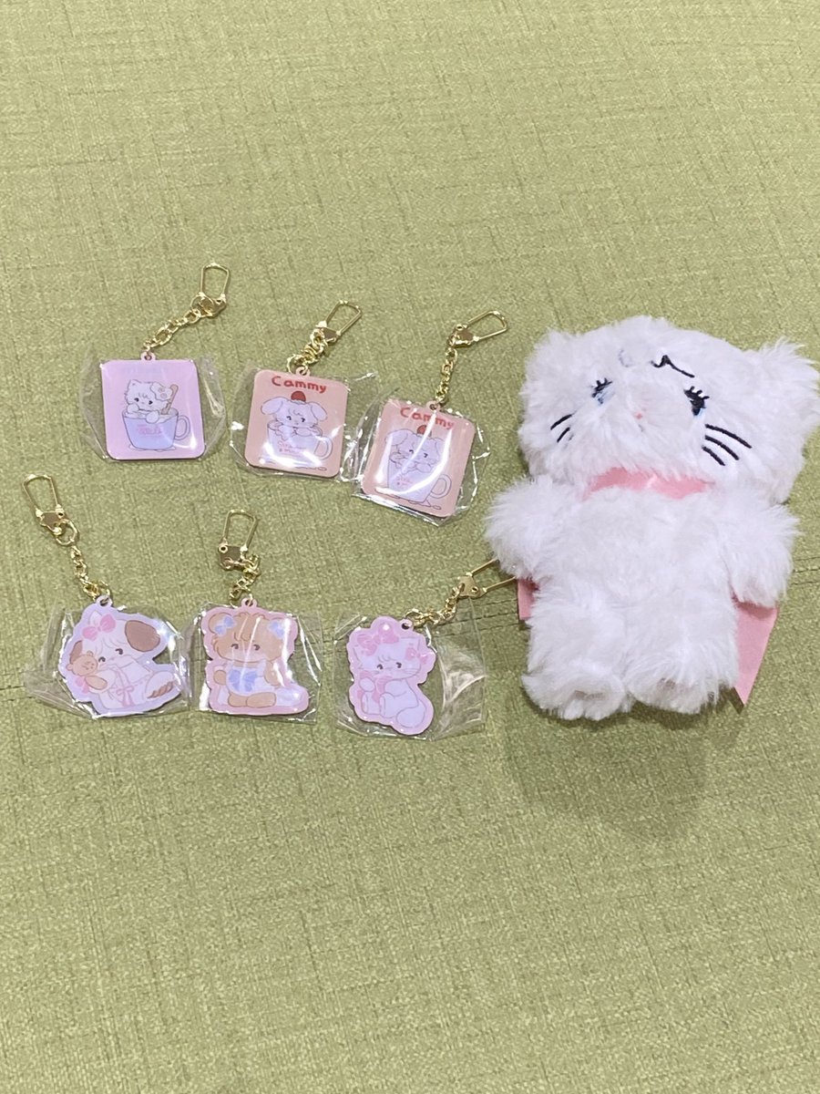 mami0804_vm's tweet image. ムースとガチャガチャ回してきました！
1番狙ってたリボンのムースGET出来て嬉しかった🎀🐱🤍
@hphpmikko