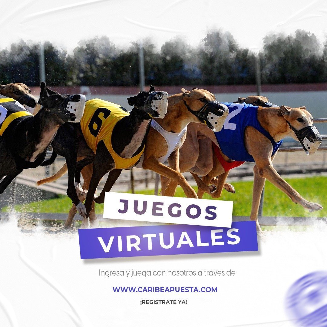 LaLupaDelDinero's tweet photo. #Hipismo Nacional e Internacional en @caribeapuesta
Juega y Gana en Todos los Hipodromos del #Mundo en 1 Solo Lugar 👉 https://t.co/j5yi4icNsh
#clubhipicoxtlt #clubhipicoxtves #LaRinconada #Valencia #GulfstreamPark #Aqueduct #GuerraContraLaCorrupción #WorldBaseballClassic . https://t.co/fTzo9fxOGX
