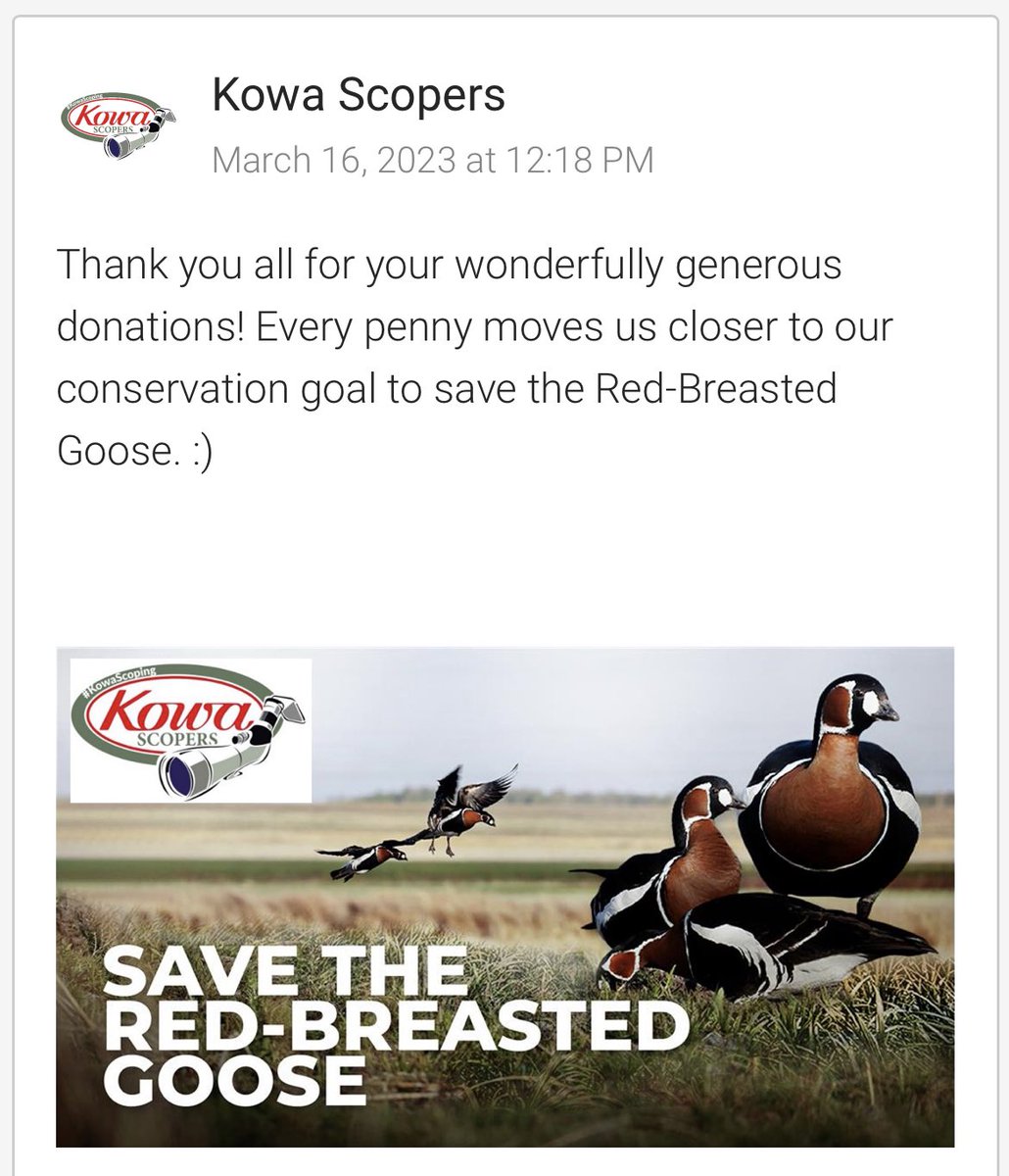 JeffBouton's tweet photo. “Kowa Scopers” team have reached 71% of our conservation goal. Join us &amp; Champions of the Flyway in supporting this cause. Please donate at https://t.co/rlm4FjMO7G @flywaychampions #COTF23 #gochampions #gogeese #givegeeseachance https://t.co/5ld0zqdo2c