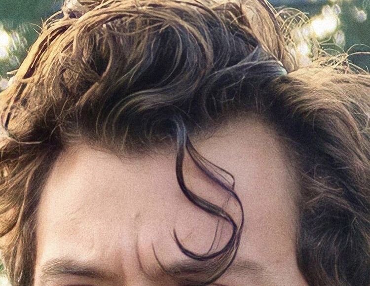 HSFEATURES's tweet photo. That one curl. https://t.co/voimVg8hLm