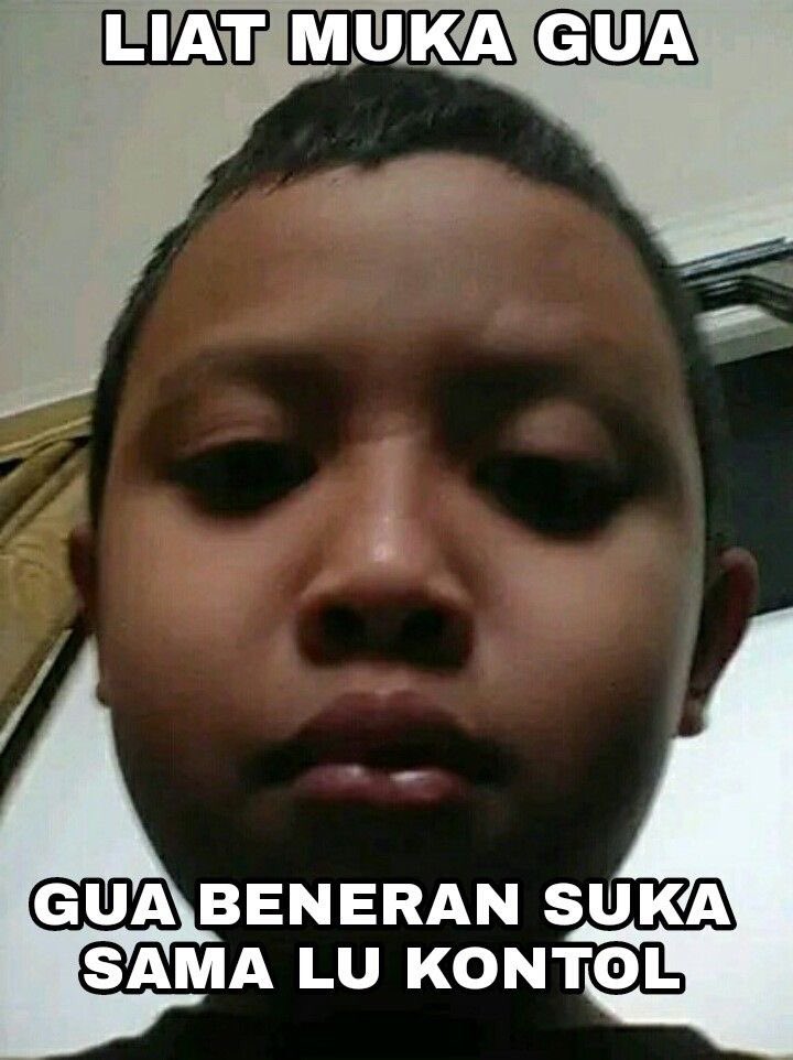 jaidan tweet media